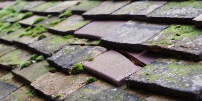 Canewdon roof repair costs